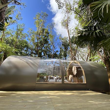Bubble Lodge Bois Cheri Plantation Eksteriør billede