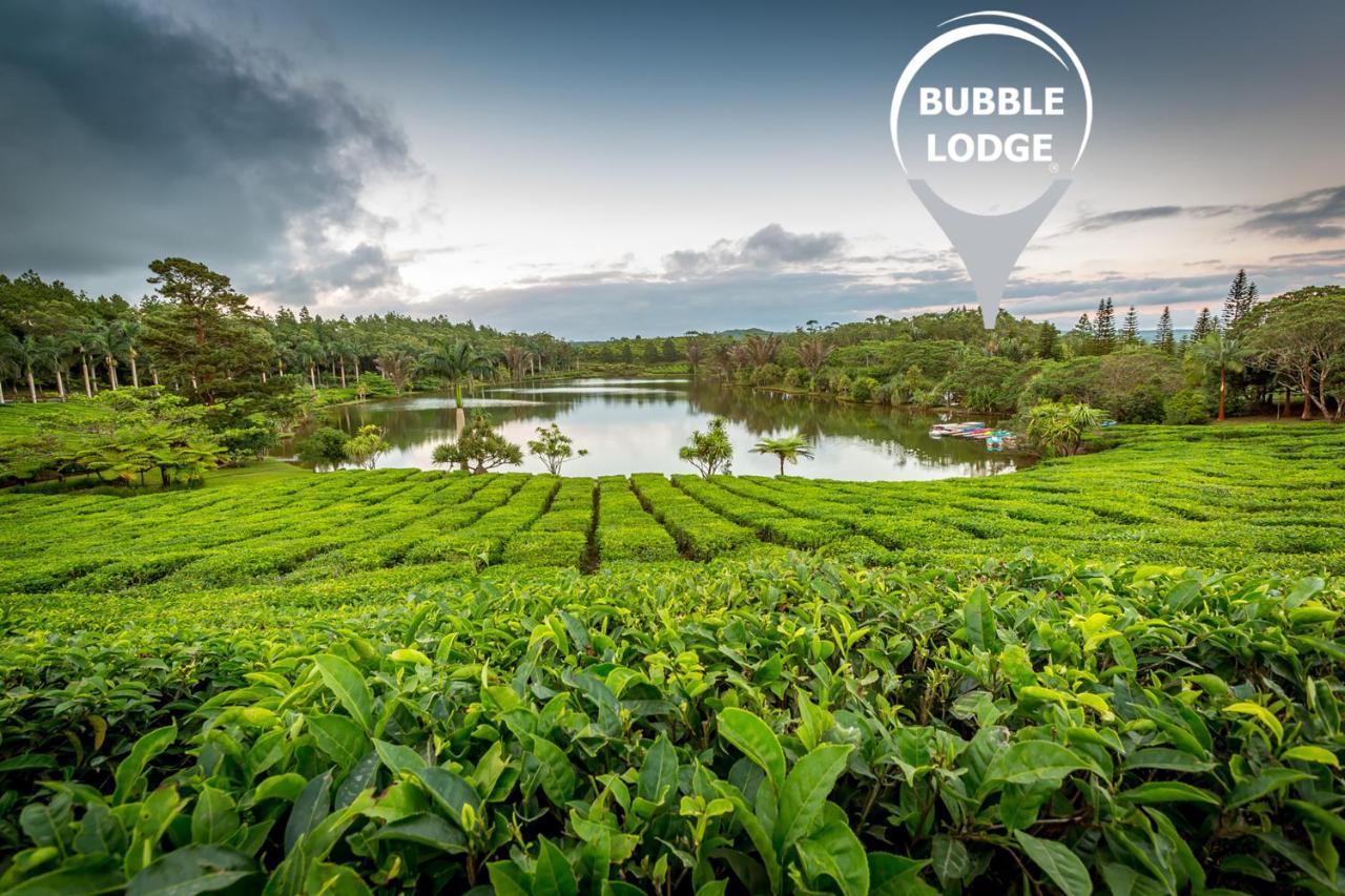 Bubble Lodge Bois Cheri Plantation Eksteriør billede