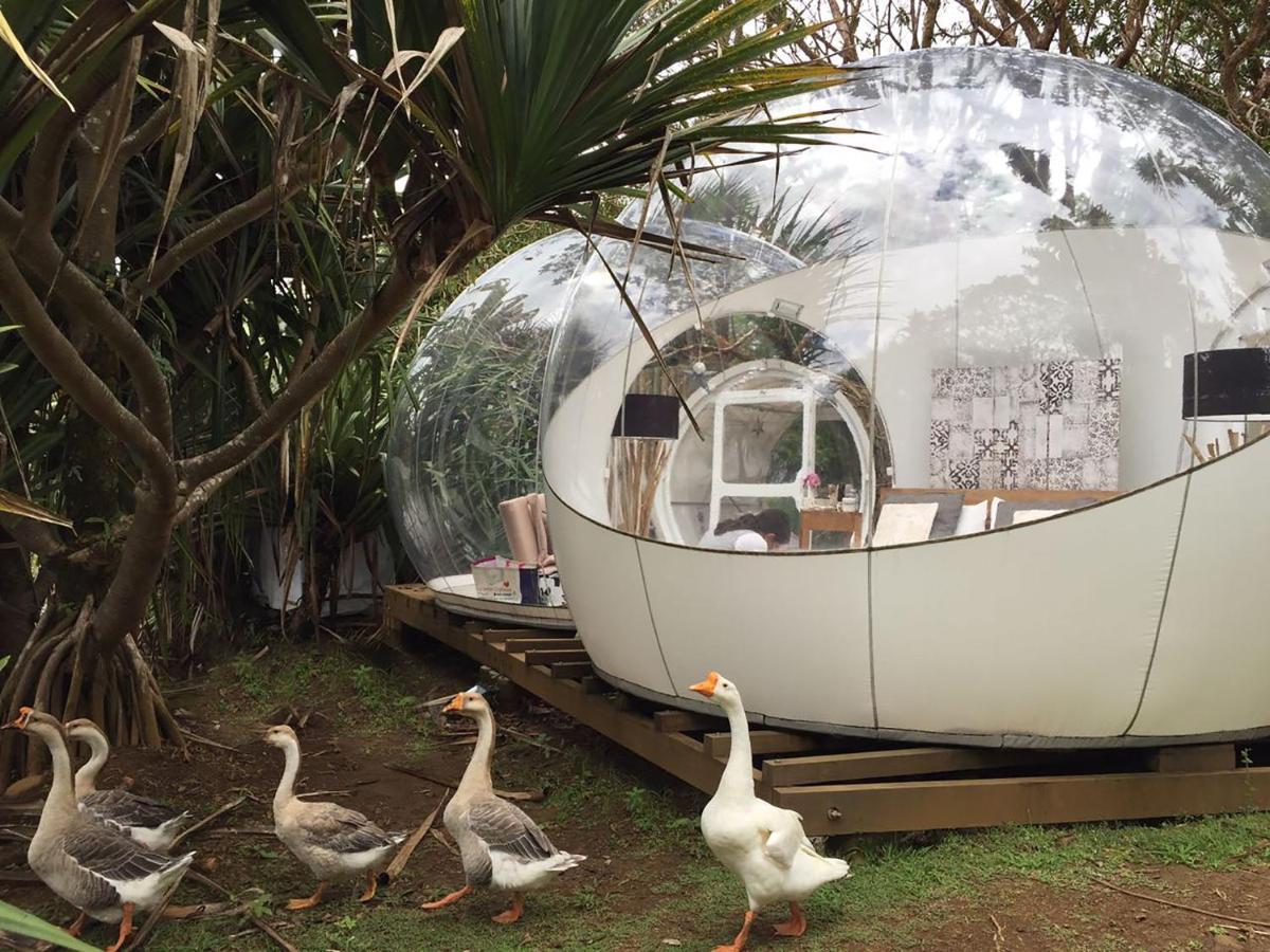 Bubble Lodge Bois Cheri Plantation Eksteriør billede