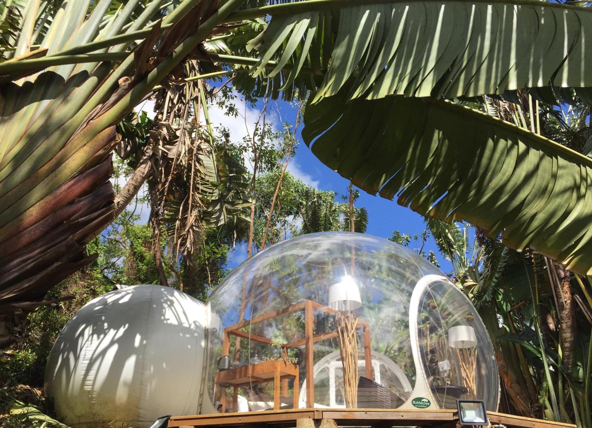 Bubble Lodge Bois Cheri Plantation Eksteriør billede
