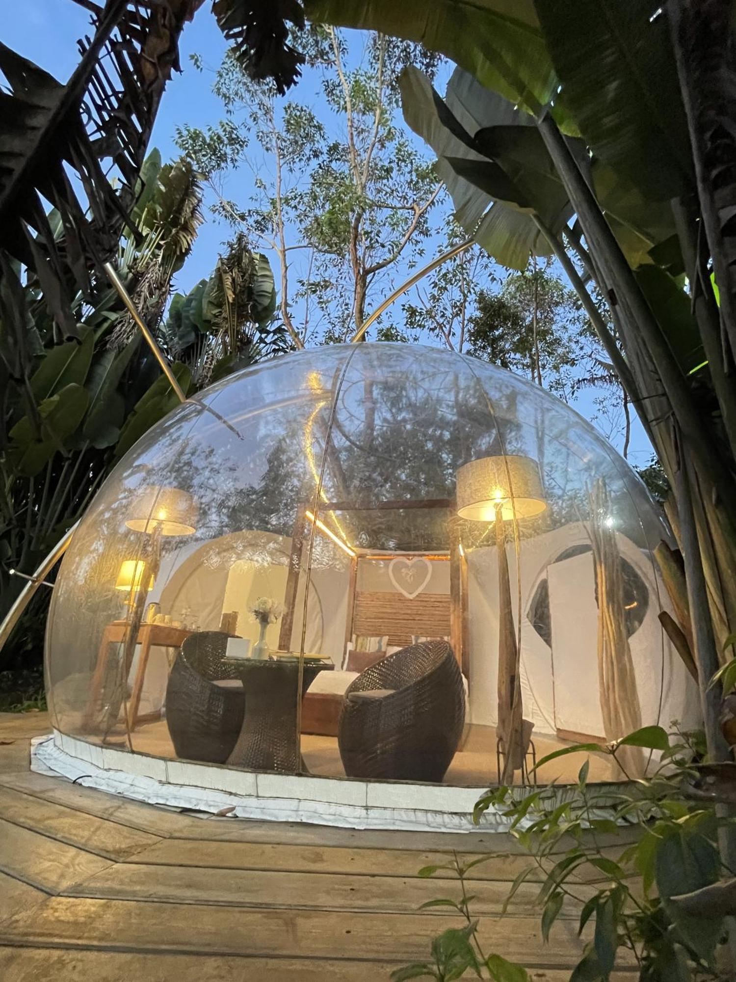Bubble Lodge Bois Cheri Plantation Eksteriør billede