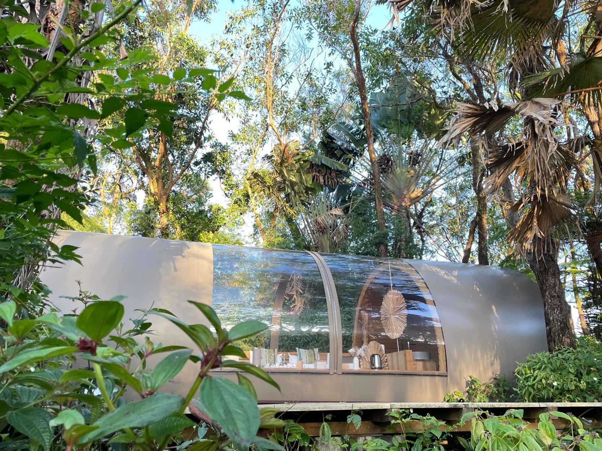 Bubble Lodge Bois Cheri Plantation Eksteriør billede
