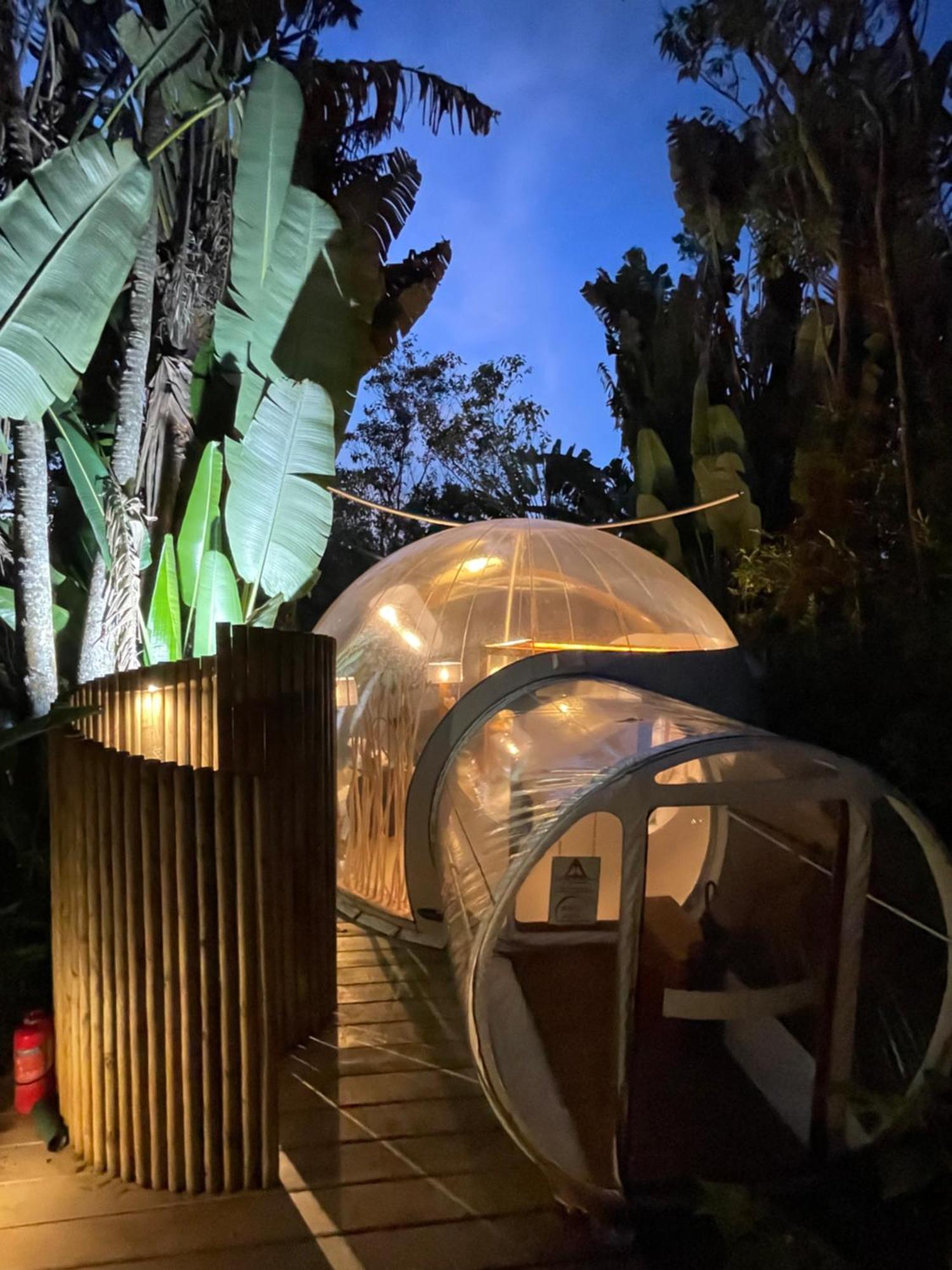 Bubble Lodge Bois Cheri Plantation Eksteriør billede