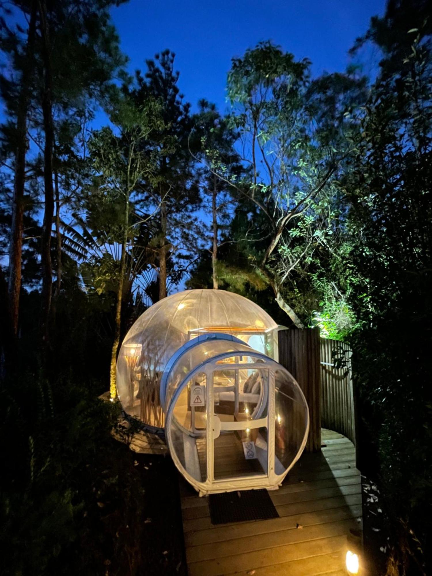 Bubble Lodge Bois Cheri Plantation Eksteriør billede