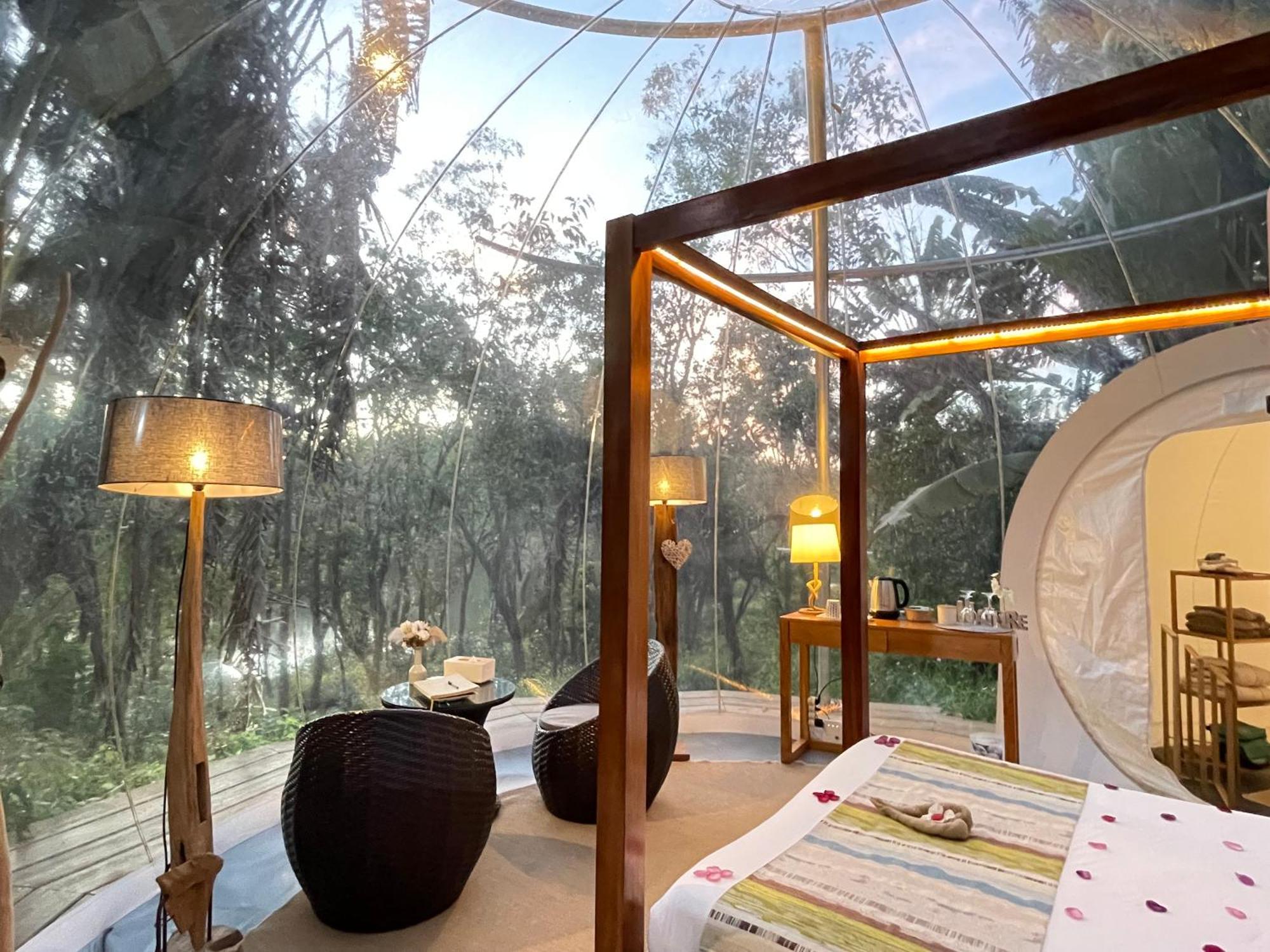 Bubble Lodge Bois Cheri Plantation Eksteriør billede