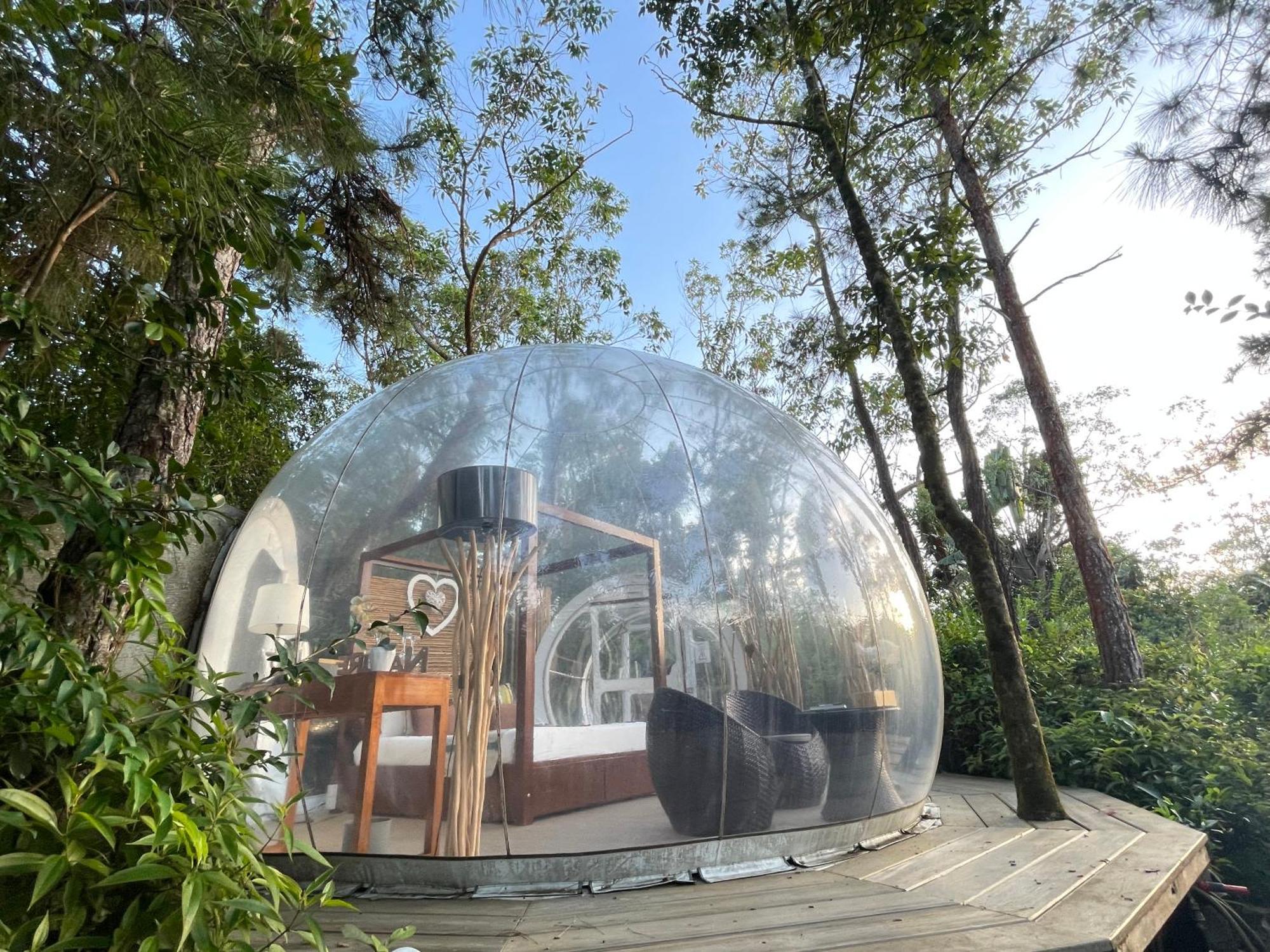 Bubble Lodge Bois Cheri Plantation Eksteriør billede