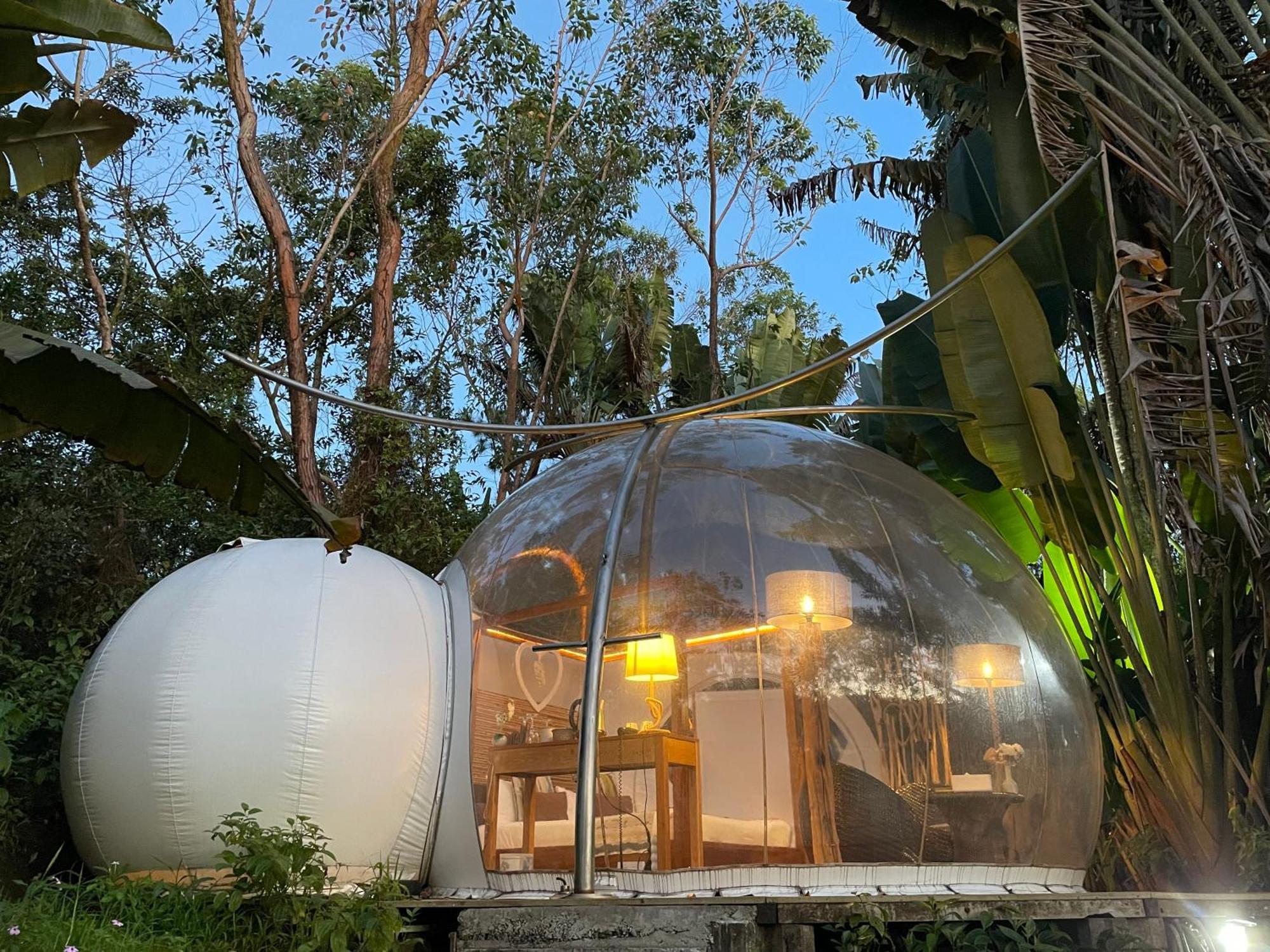 Bubble Lodge Bois Cheri Plantation Eksteriør billede