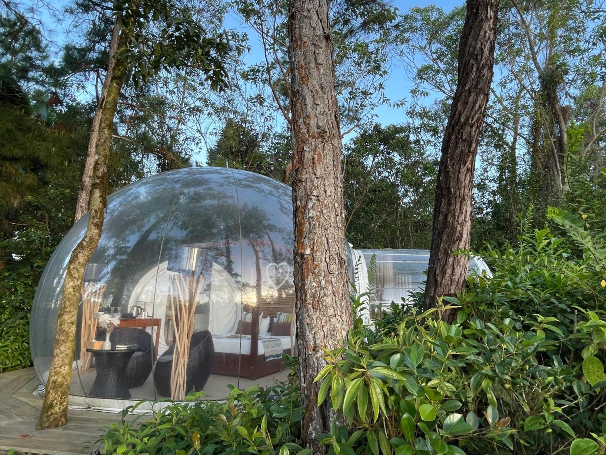 Bubble Lodge Bois Cheri Plantation Eksteriør billede