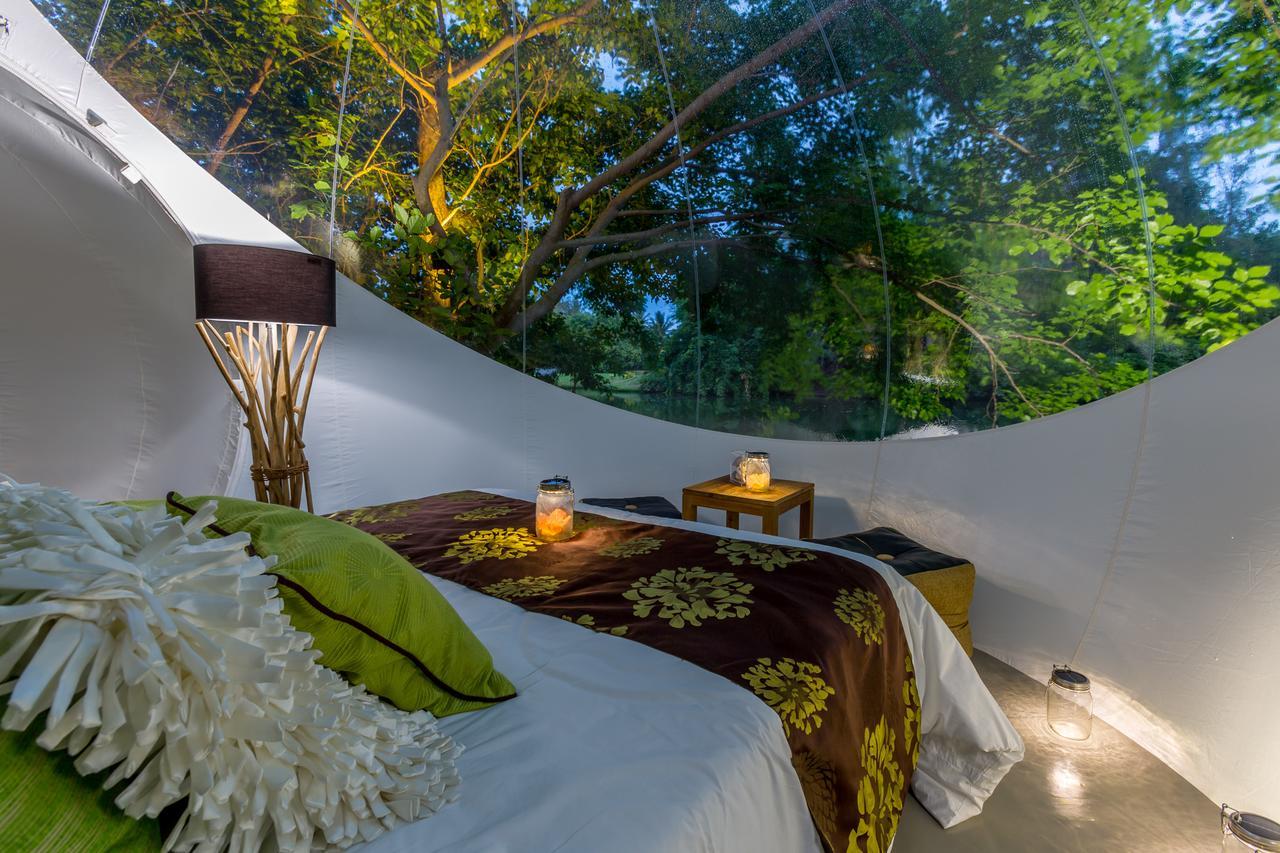 Bubble Lodge Bois Cheri Plantation Eksteriør billede
